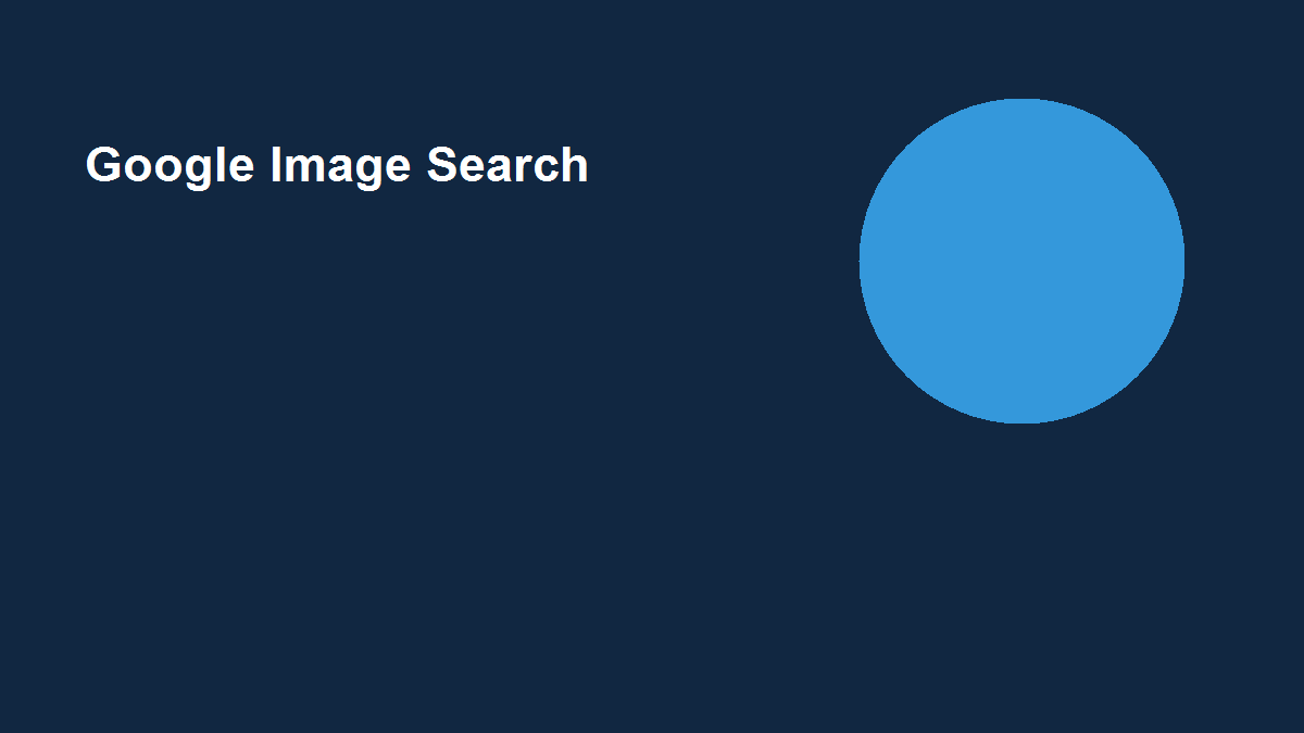 Google Image Search